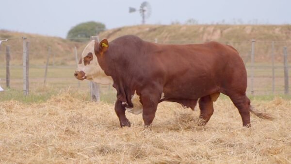 LOTE 24 RP 523 BRAFORD EL CAMBIO