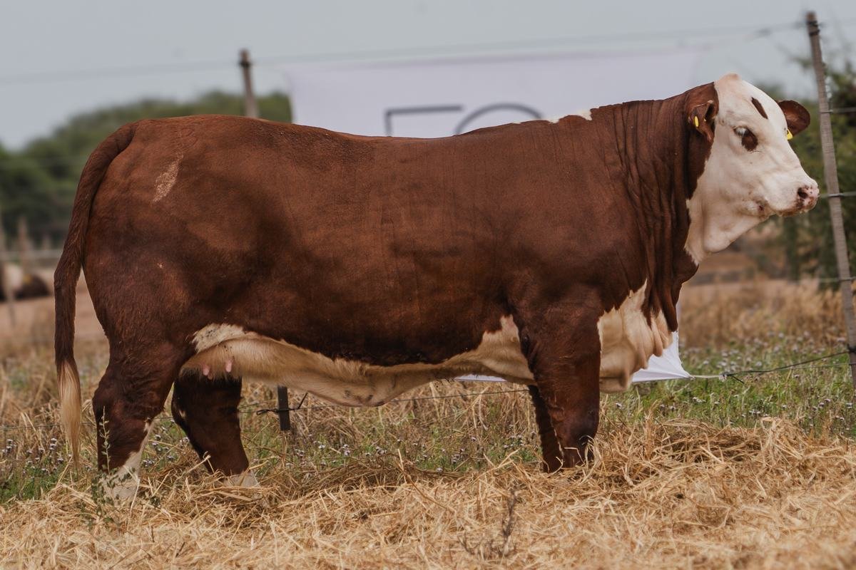 LOTE 43 RP 1296 BRAFORD EL CAMBIO