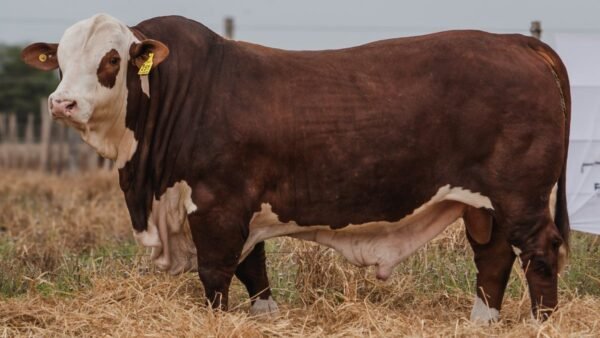 LOTE 29 RP 291 BRAFORD EL CAMBIO