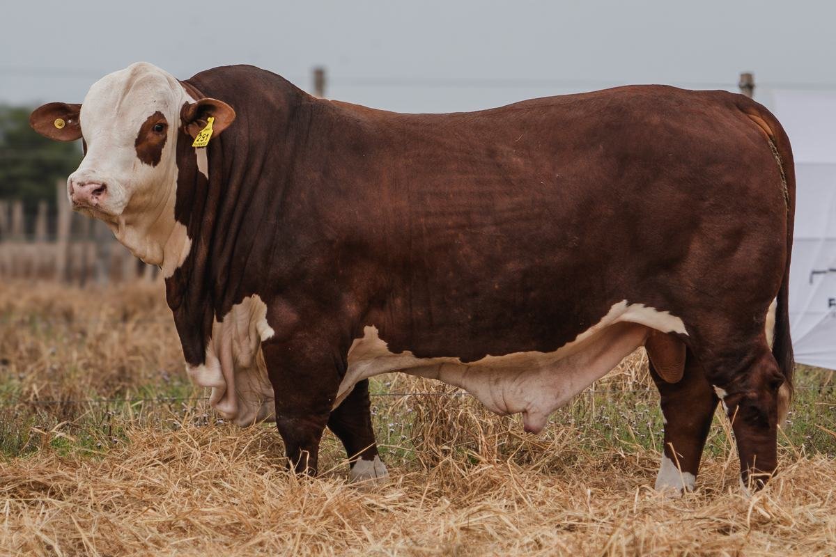 LOTE 29 RP 291 BRAFORD EL CAMBIO