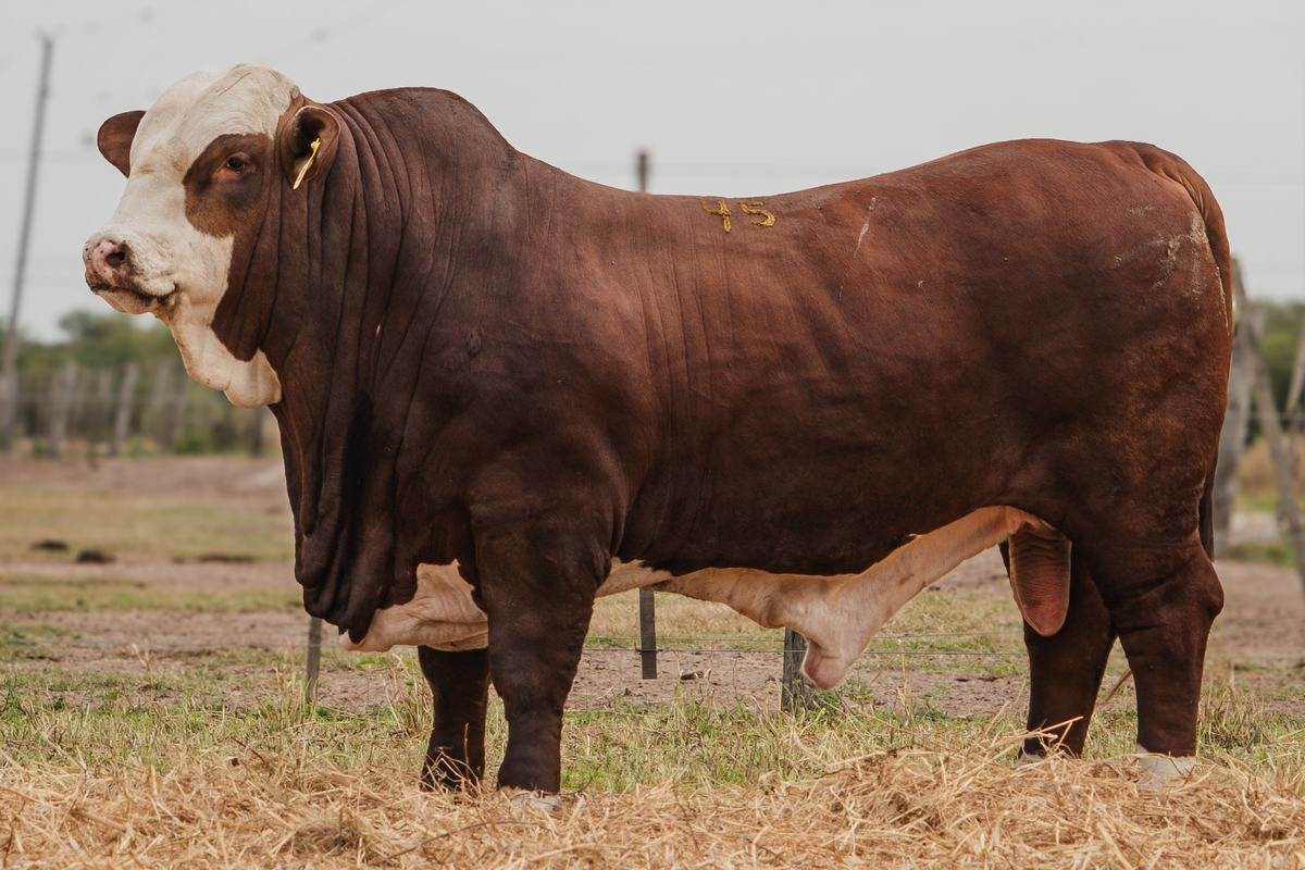 LOTE 20 RP 391 BRAFORD EL CAMBIO