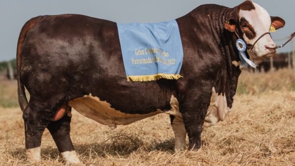 LOTE 08 RP 405 BRAFORD EL CAMBIO